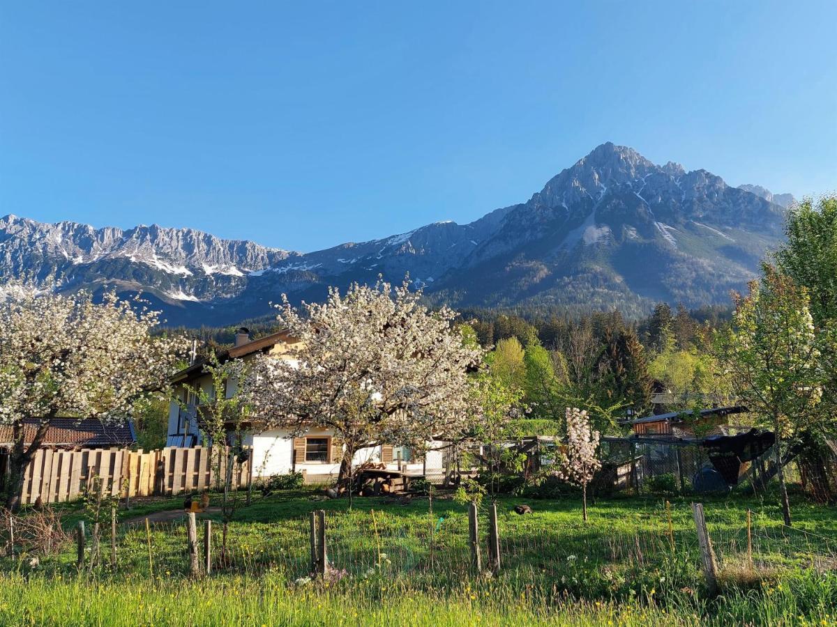 Ferienwohnung Frieda Ellmau Dış mekan fotoğraf
